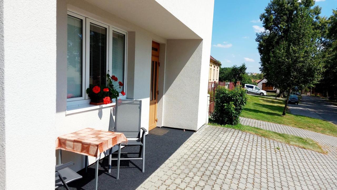 Apartman Jaruska Týn nad Vltavou Buitenkant foto